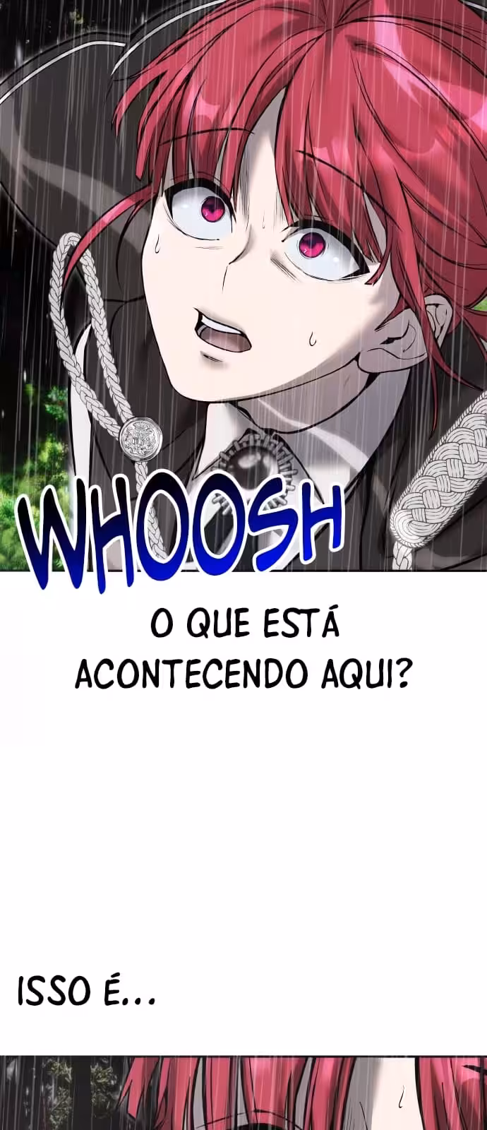 Página do Capítulo 16