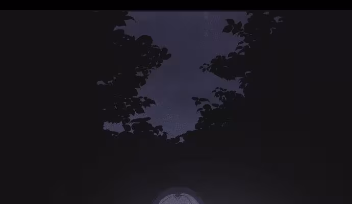 Página do Capítulo 11