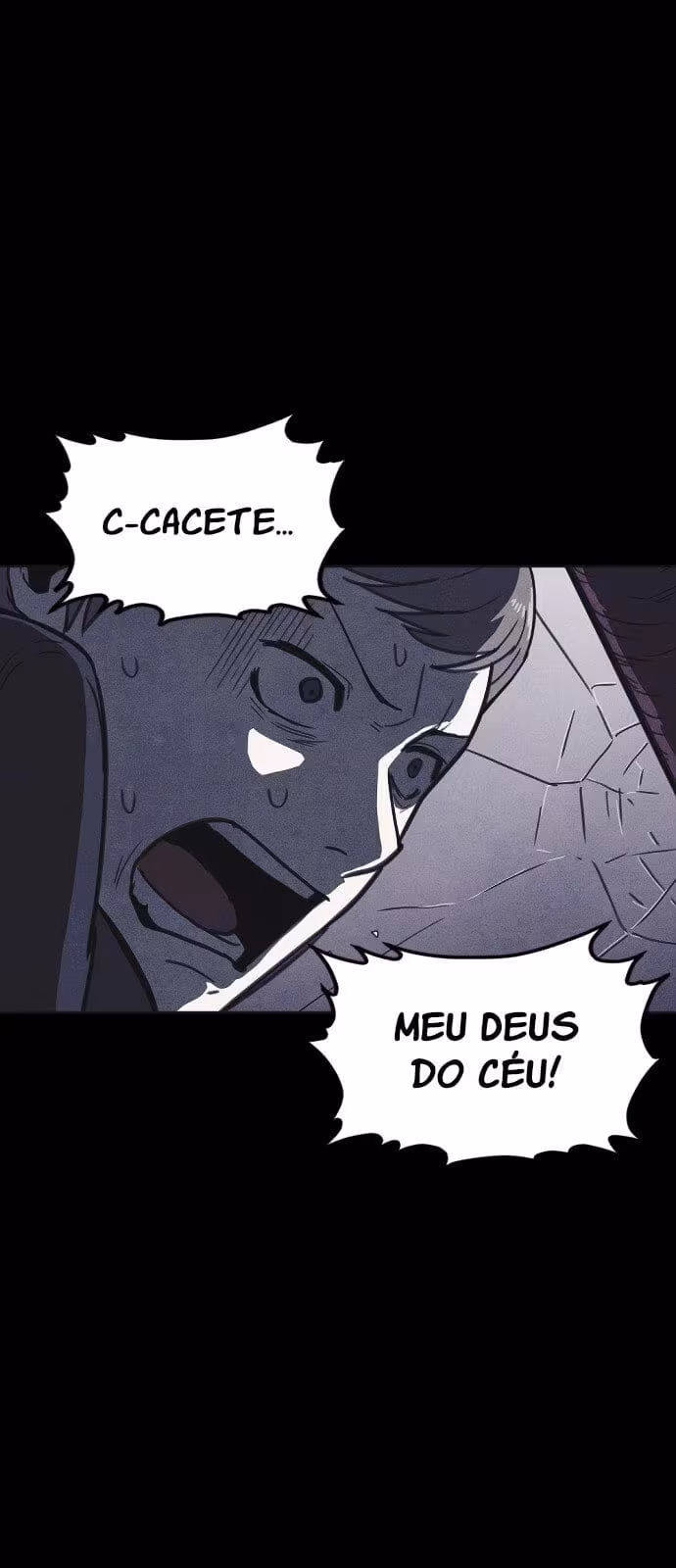 Página do Capítulo 15