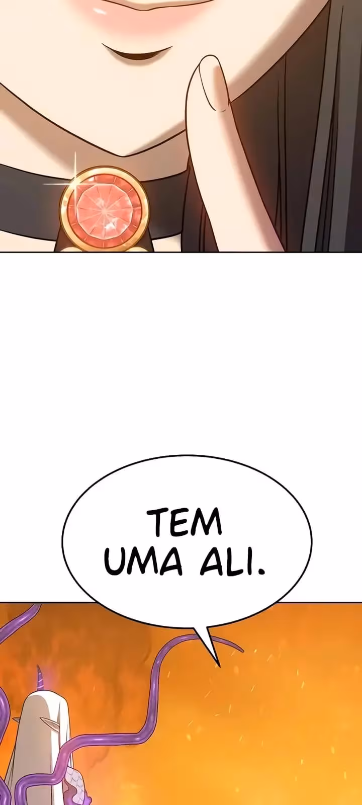 Página do Capítulo 13