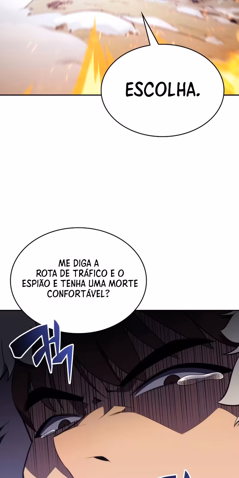 Página do Capítulo 13