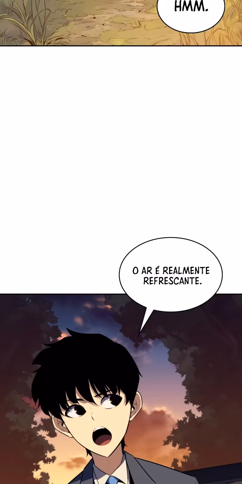 Página do Capítulo 15