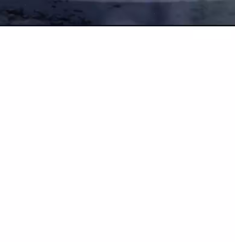 Página do Capítulo 29