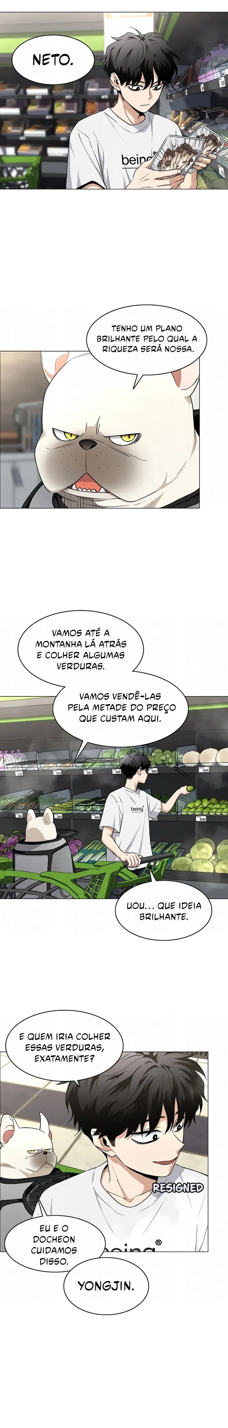 Página 8