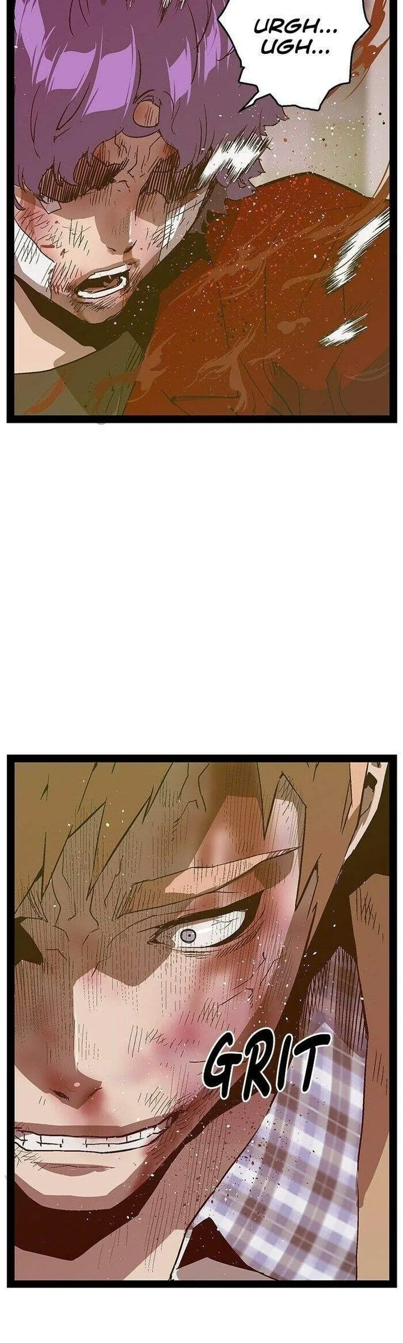 Página 43