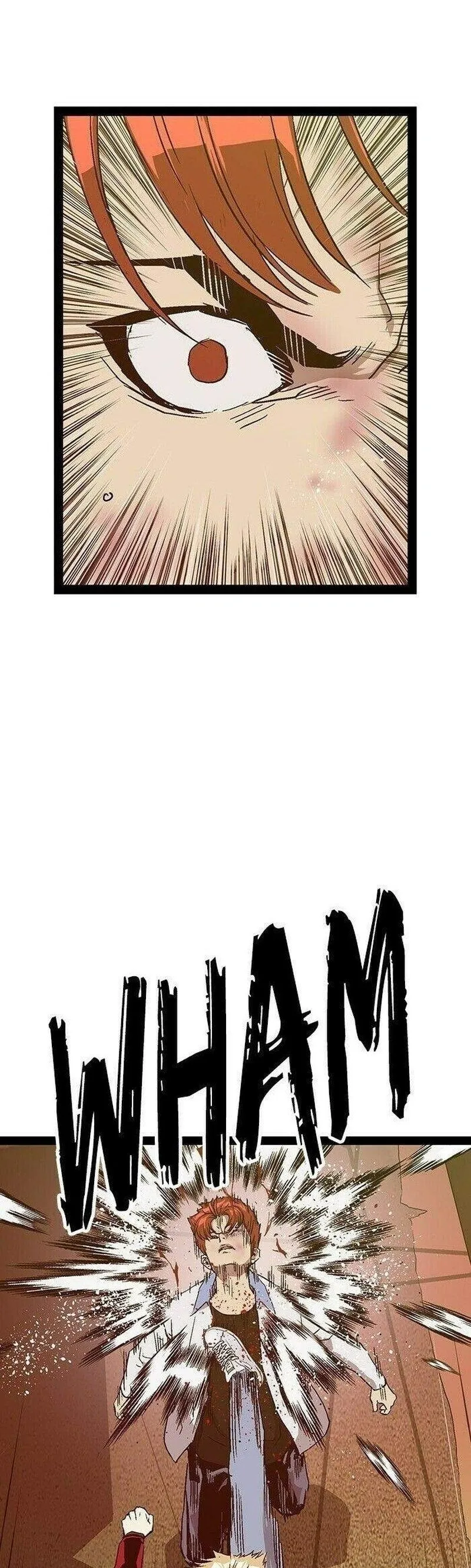 Página 46