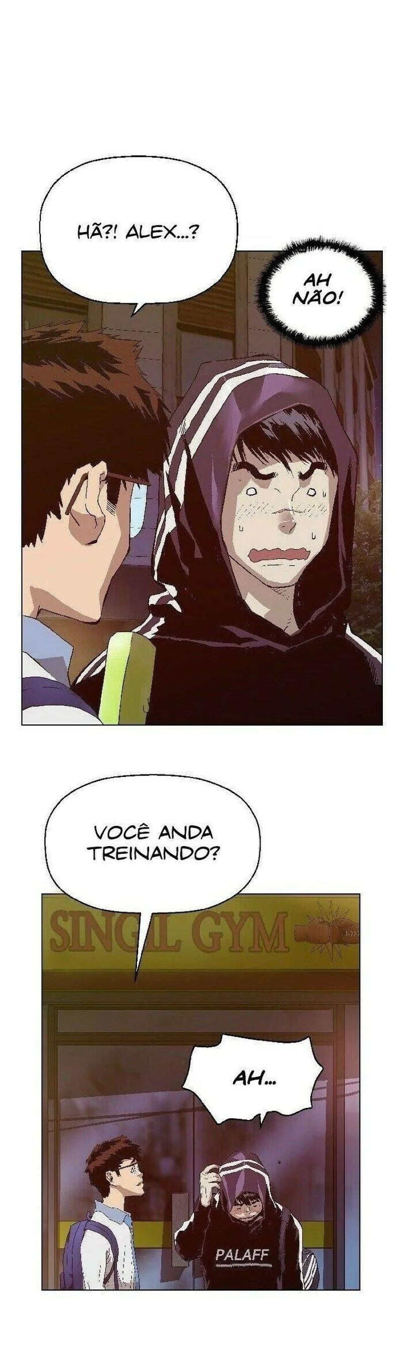 Página 13