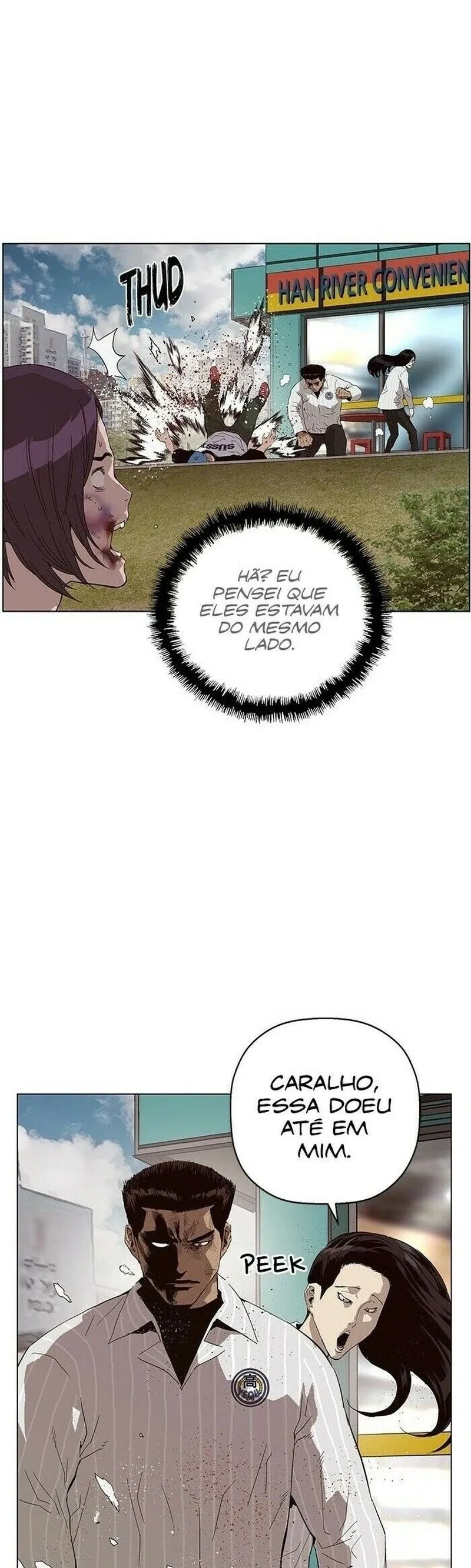 Página 44