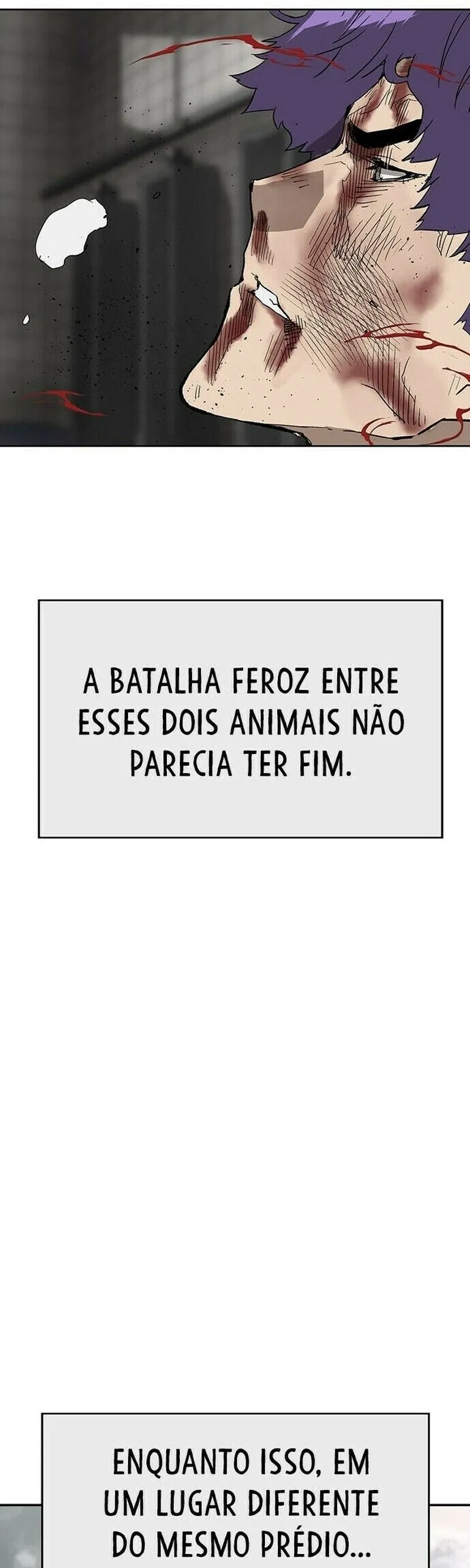 Página 51