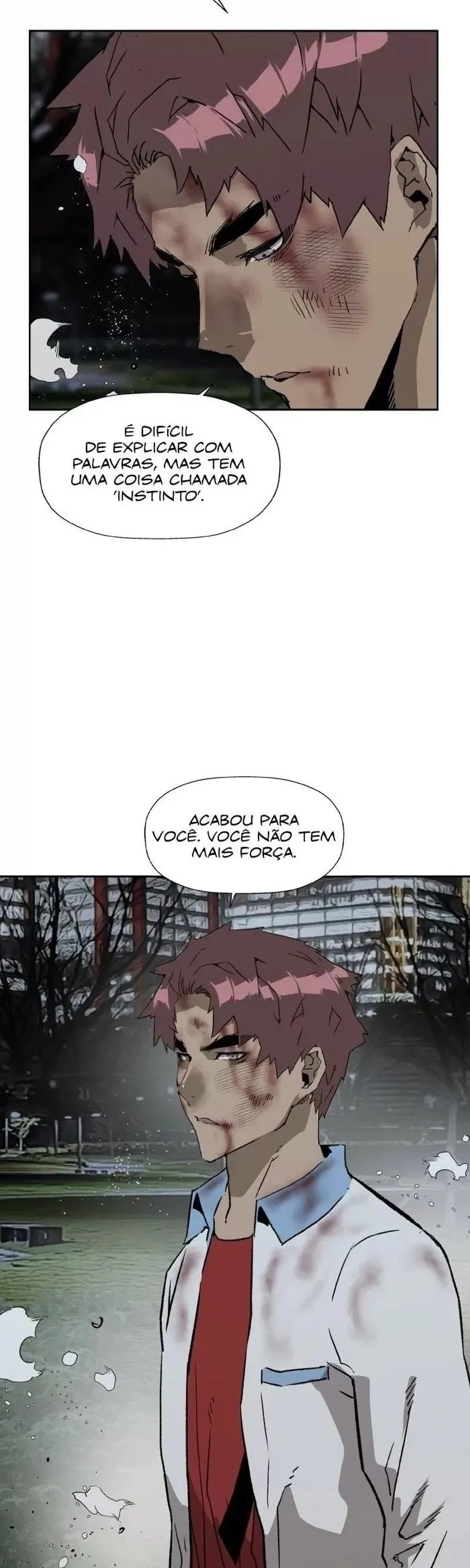 Página 24
