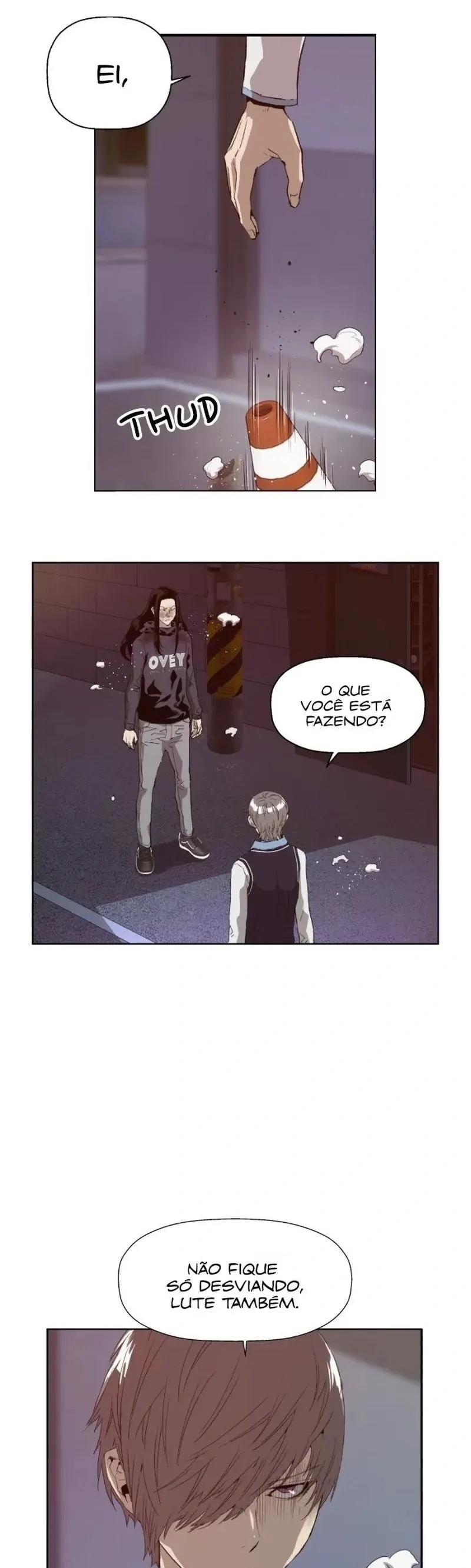 Página 29