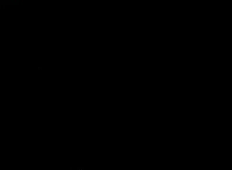 Página 147