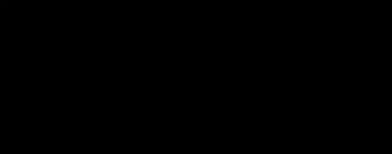 Página 161