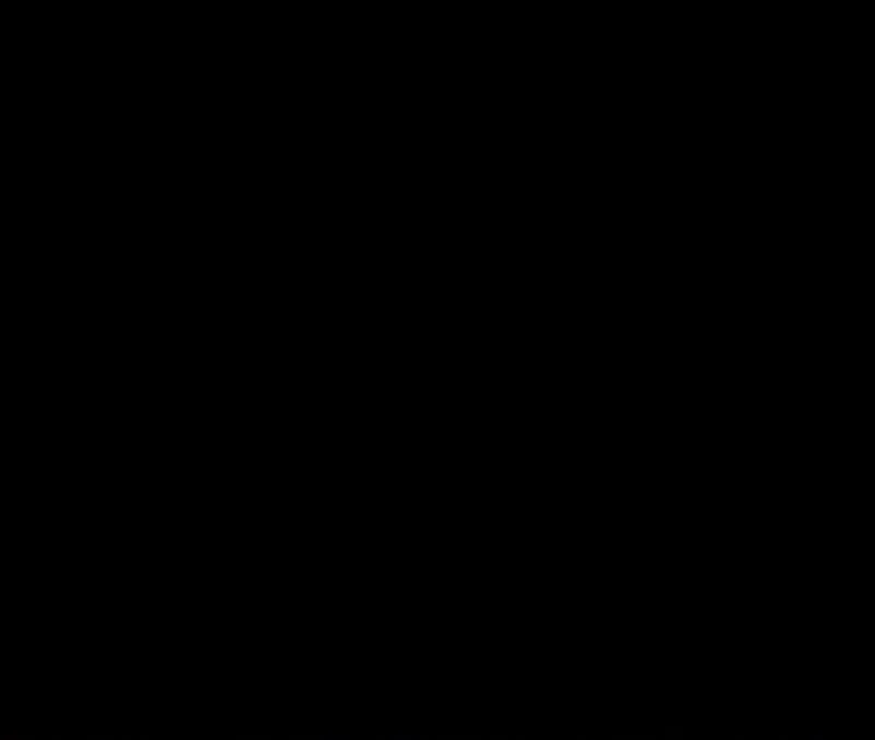 Página 45