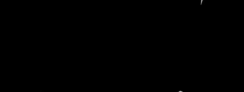 Página 81