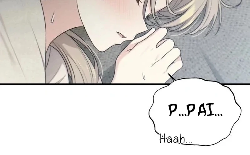Página 46