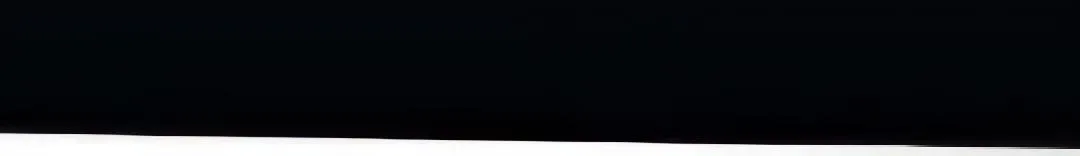 Página 49