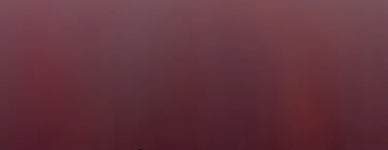 Página 125