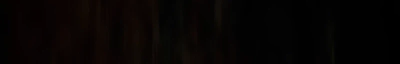 Página 111