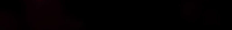 Página 204