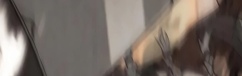 Página 55