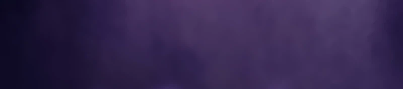 Página 65