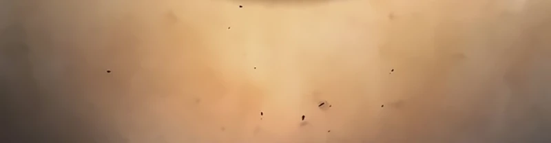 Página 107