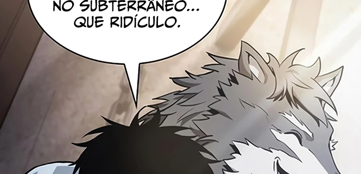 Página 117
