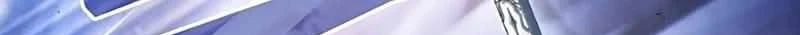Página 251