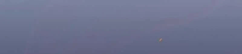 Página 215