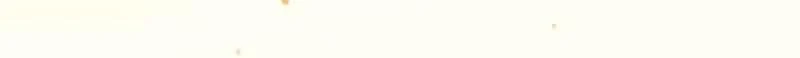 Página 281