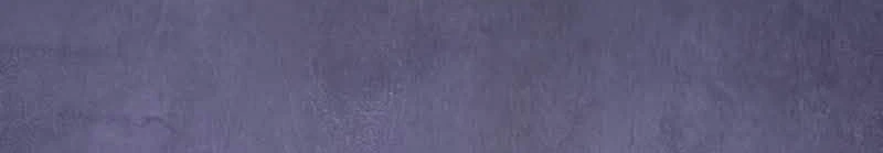 Página 49