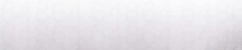 Página 81