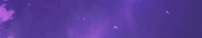 Página 42