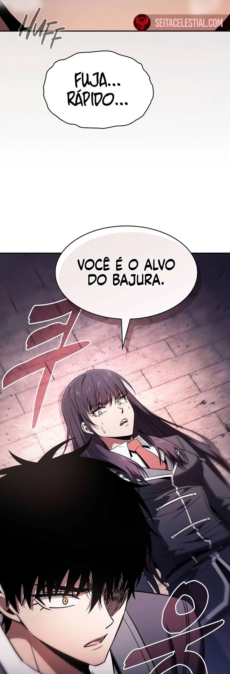 Página 91