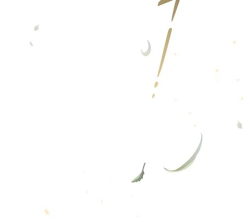 Página 52