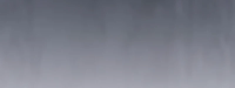 Página 110