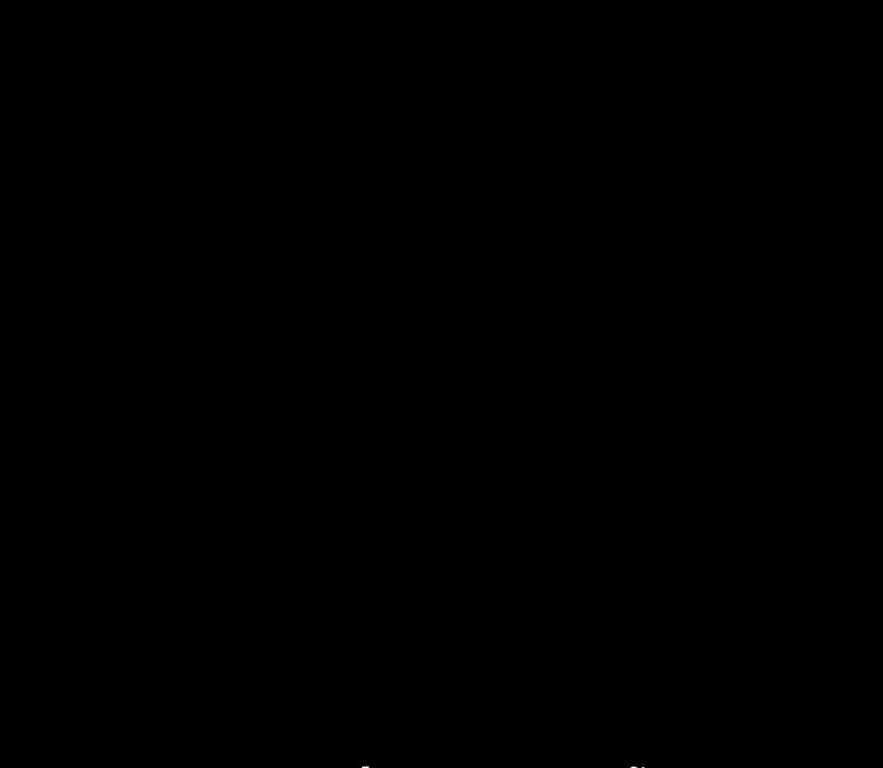 Página 291