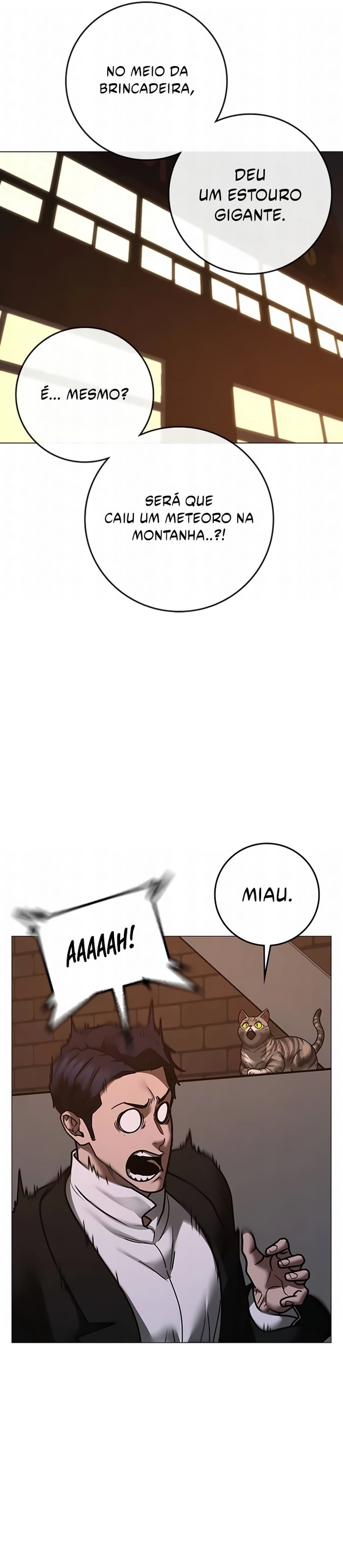 Página 43