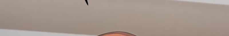 Página 102