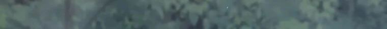 Página 62