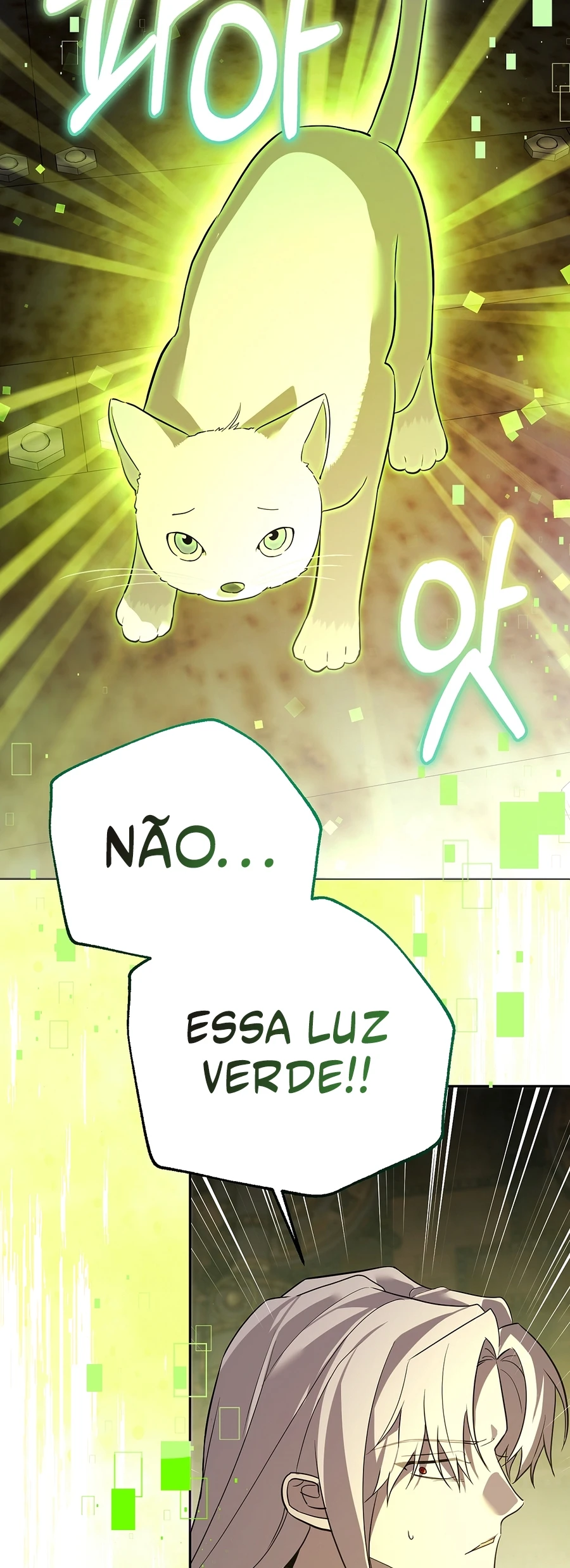 Página 43