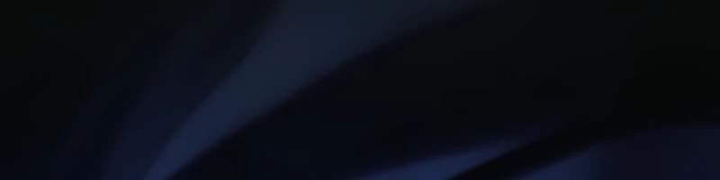 Página 101