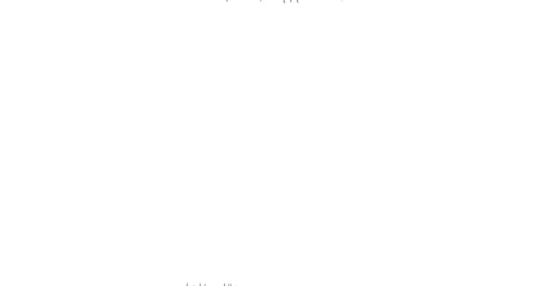 Página 100