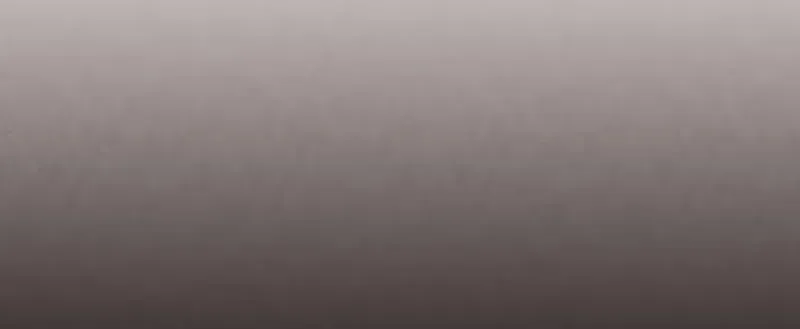 Página 83