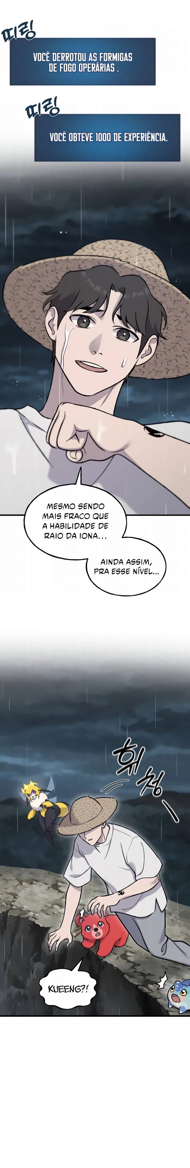 Página 17