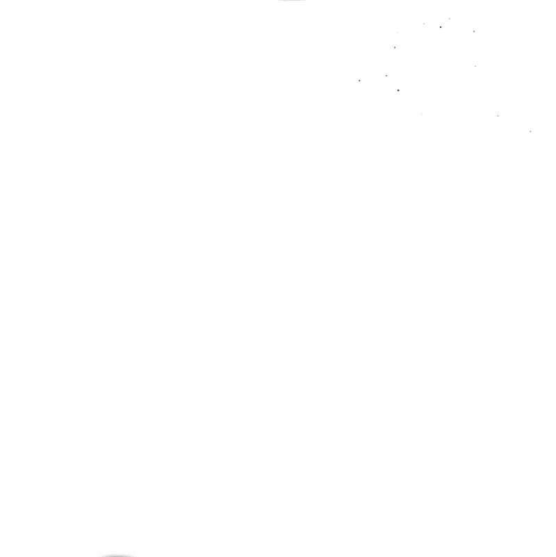 Página 51