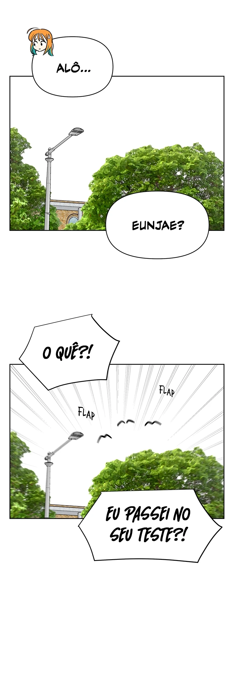 Página 46