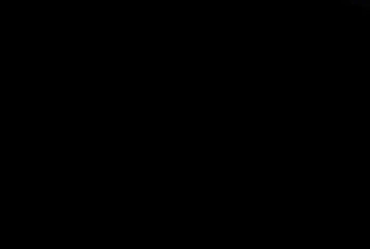 Página 254