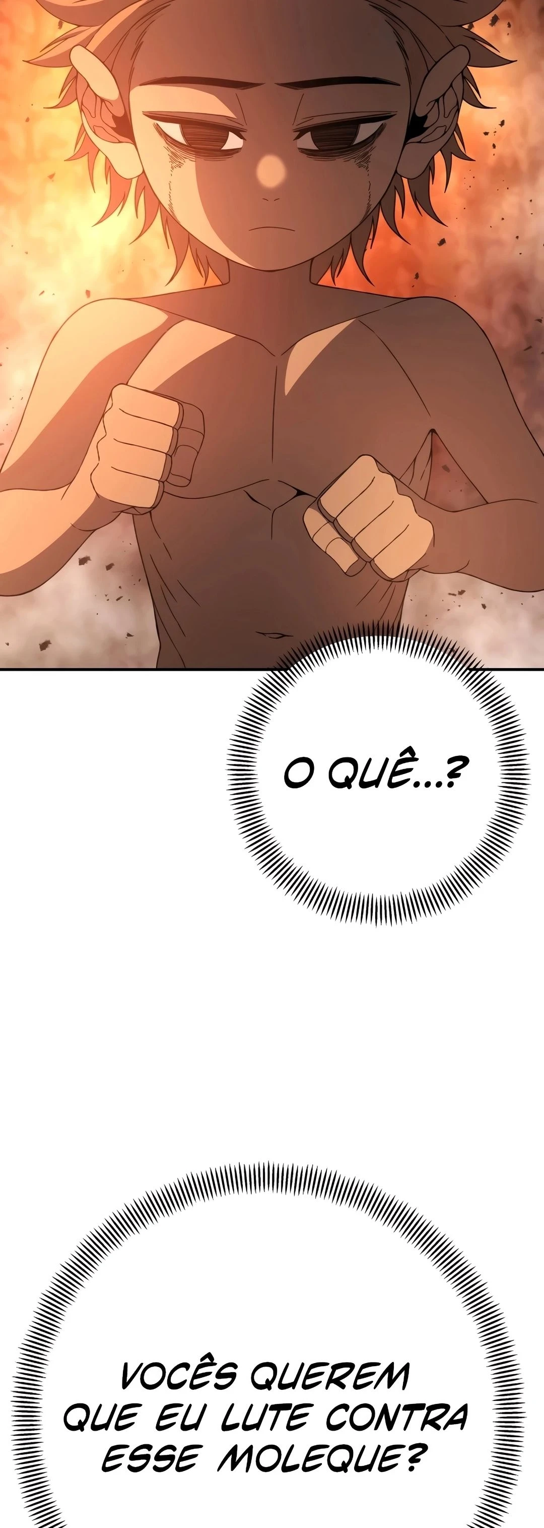 Página 113